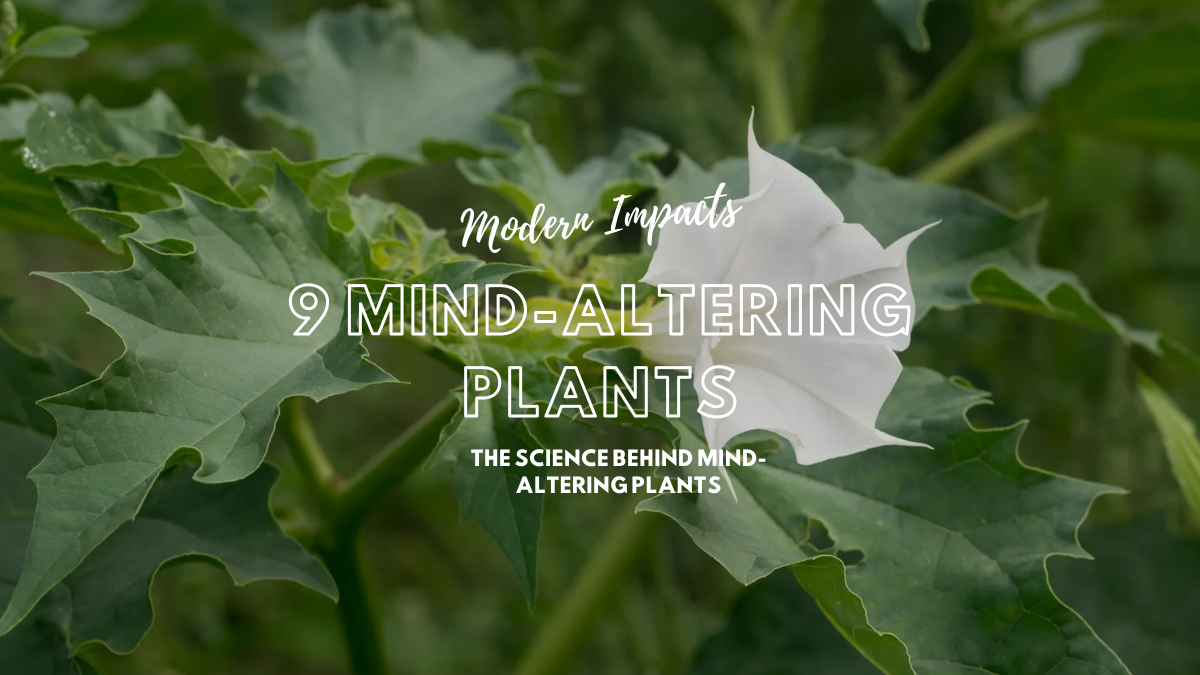 9 Mind-Altering Plants