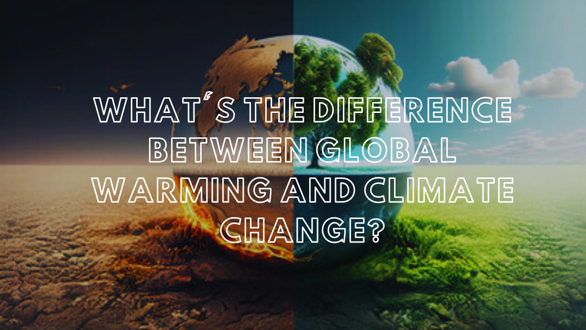 What’s the Difference Between Global Warming and Climate Change?