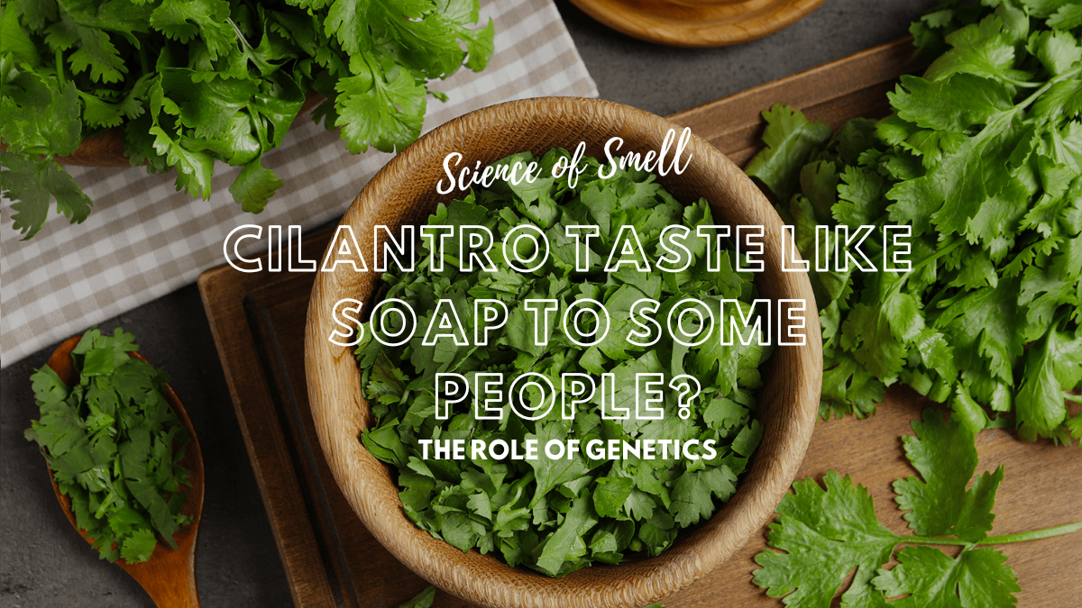 Why Does Cilantro Taste Like Soap to Some People?